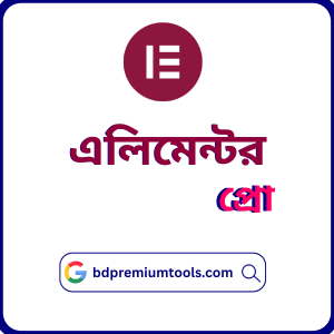 Buy Elementor Pro in Bangladesh | BD Premium Tools